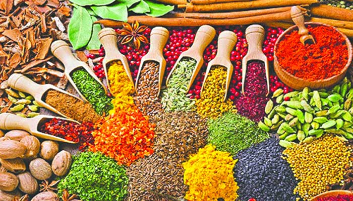 Spices & Condiments