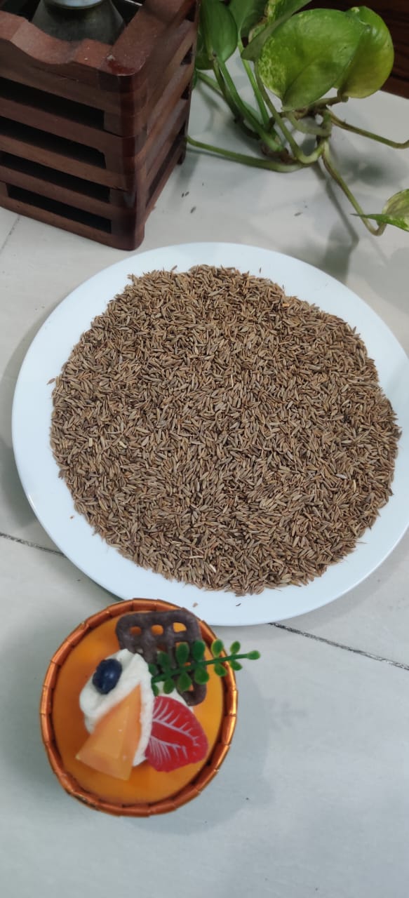 জিরা (Cumin)